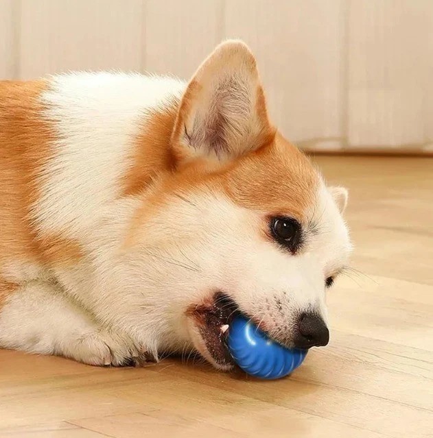 Smart Interactive Dog Toy Ball – USB Electronic Automatic Moving & Bouncing Pet.
