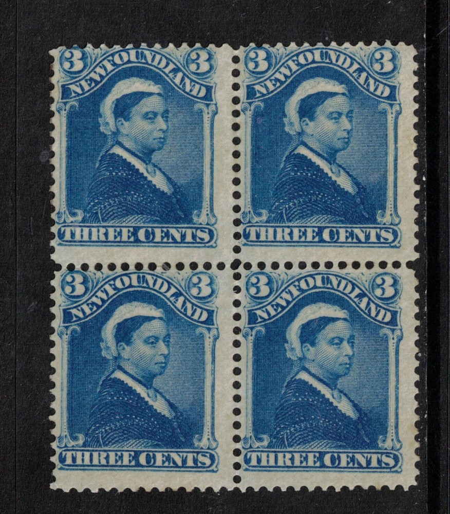 Newfoundland #49 Mint Fine Never Hinged Block