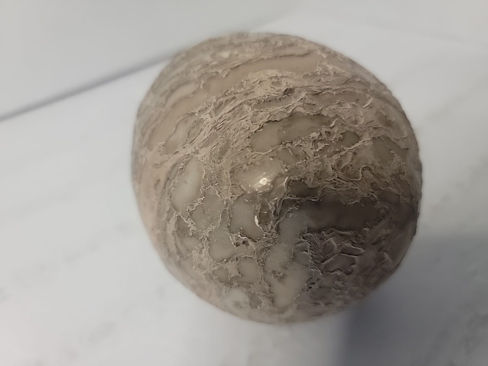 Dinosaur Egg Fossilized Crystallized Fossil QQ