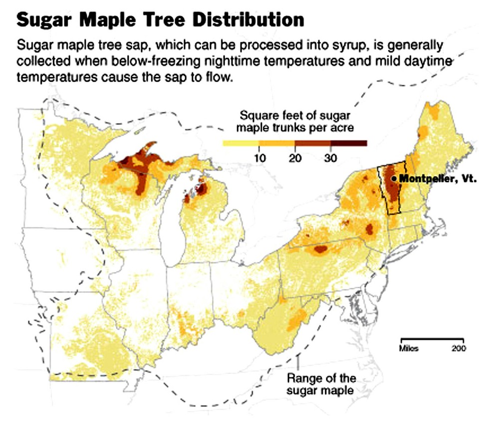 Blue Maple Syrup Taps - 5 Taps