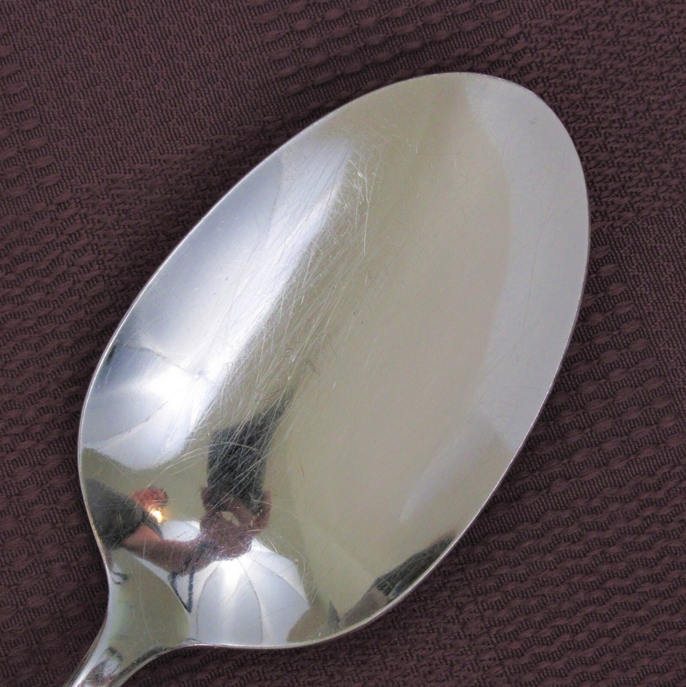 SSS Oneida Maestro St Leger solid serving spoon stainless steel flatware utensil