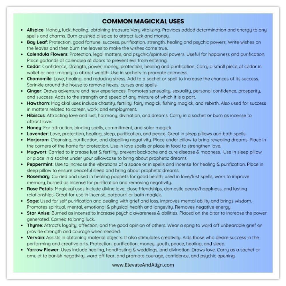 20 Piece Dried Herbs And Flowers Kit | Herbal Spell Kit | Potpourri Kit