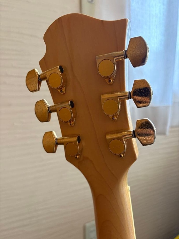 Burny Mg-130S/Cherry Sunburst/Hide Model/Mockingbird