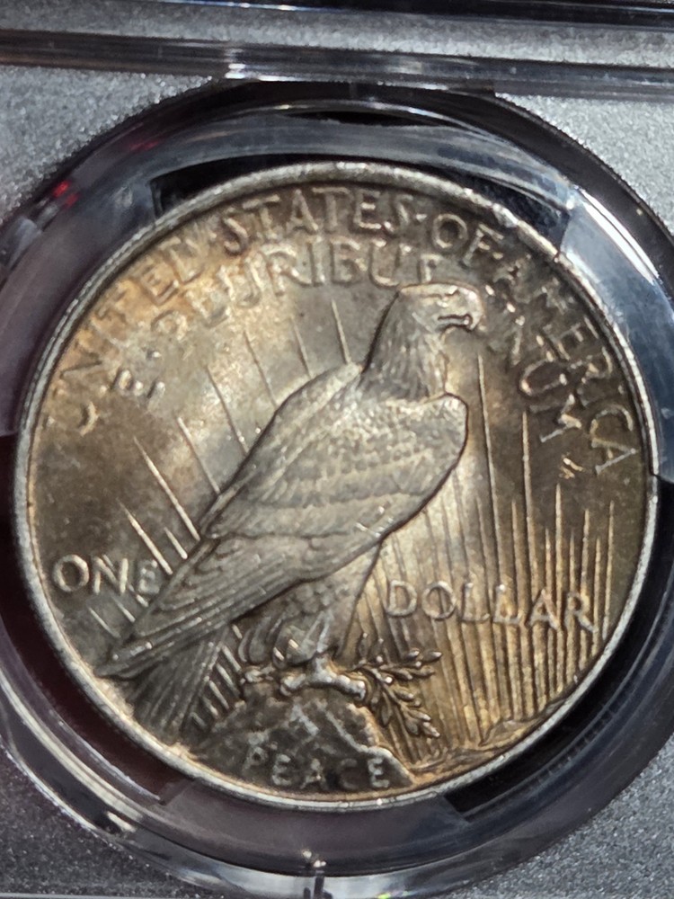 1923 $1 Peace Dollar PCGS MS62 Toned