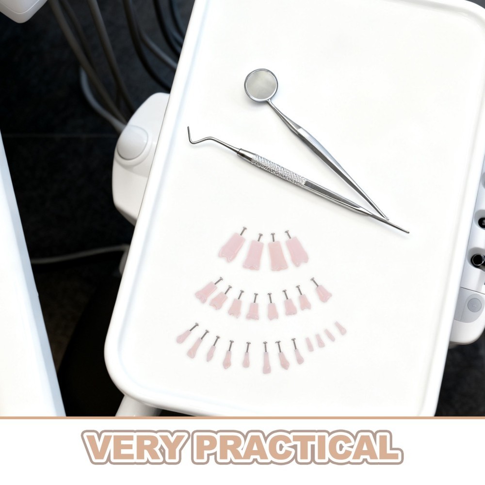 24pcs Typodont Teeth Model Dental Replacement Tooth Artificial Teeth