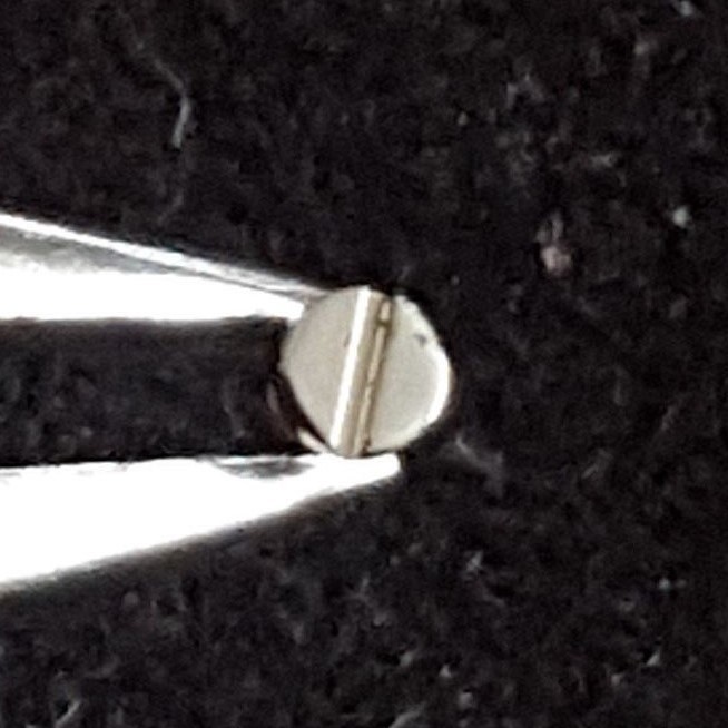 Omega Screw Part Number 2255