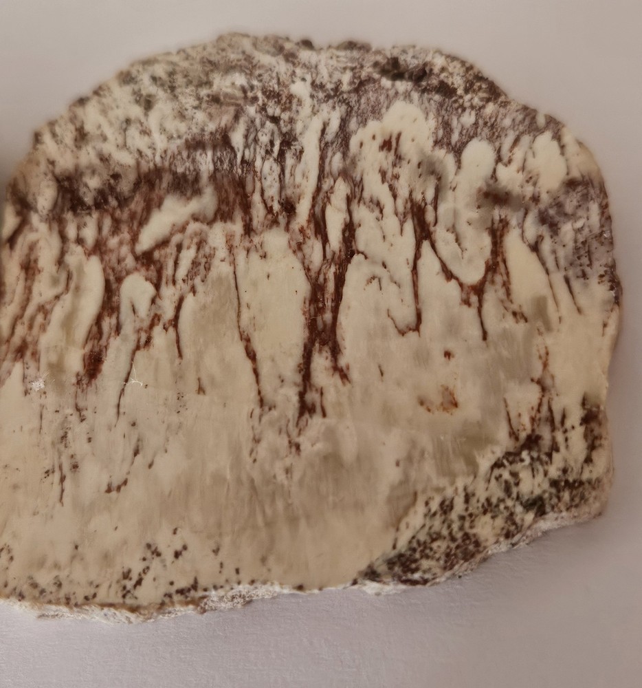 Alunite Lapidary Slabs 85 Grams