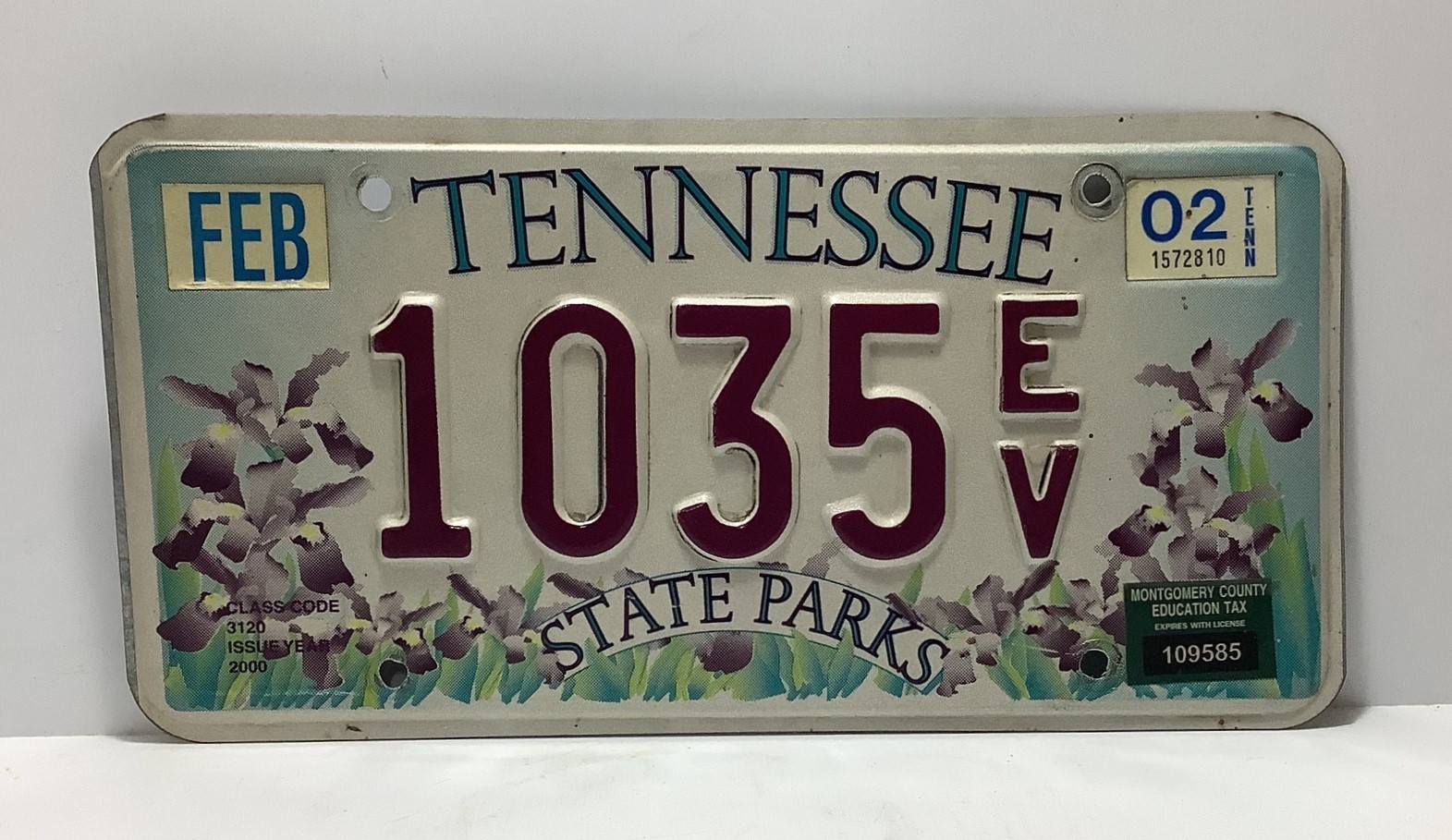 Tennessee State Parks Iris Flower Specialty License Plate Tag