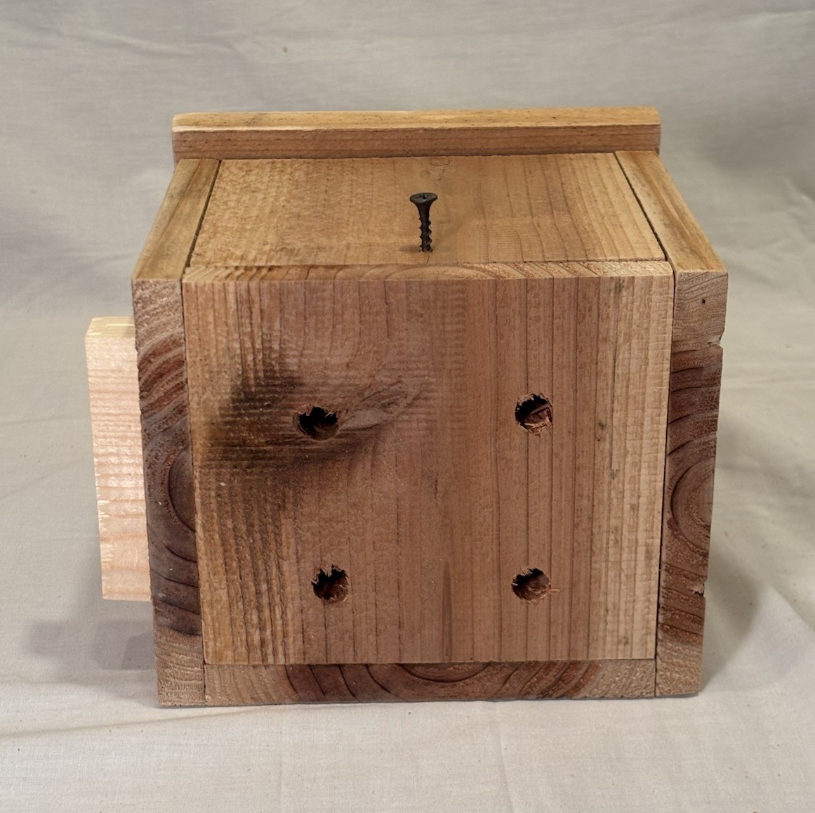 Solid Cedar Backyard Squirrel House Nesting Box - Fully Installed Wood Wildlife