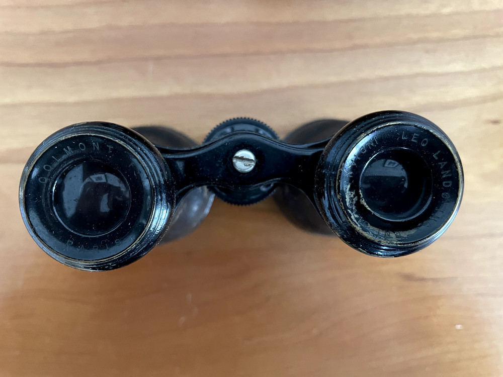 Vintage binocular opera glasses in leather case