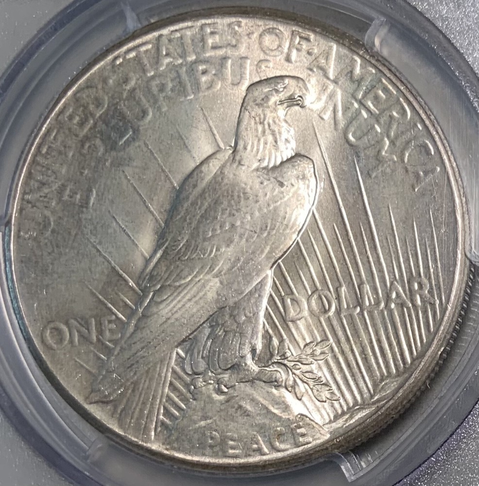 1925 Peace Silver Dollar PCGS MS66 From Original Roll
