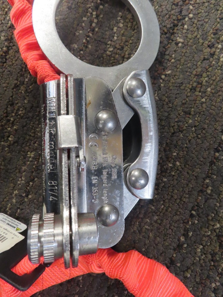 Notch Gecko - Tree Spikes -