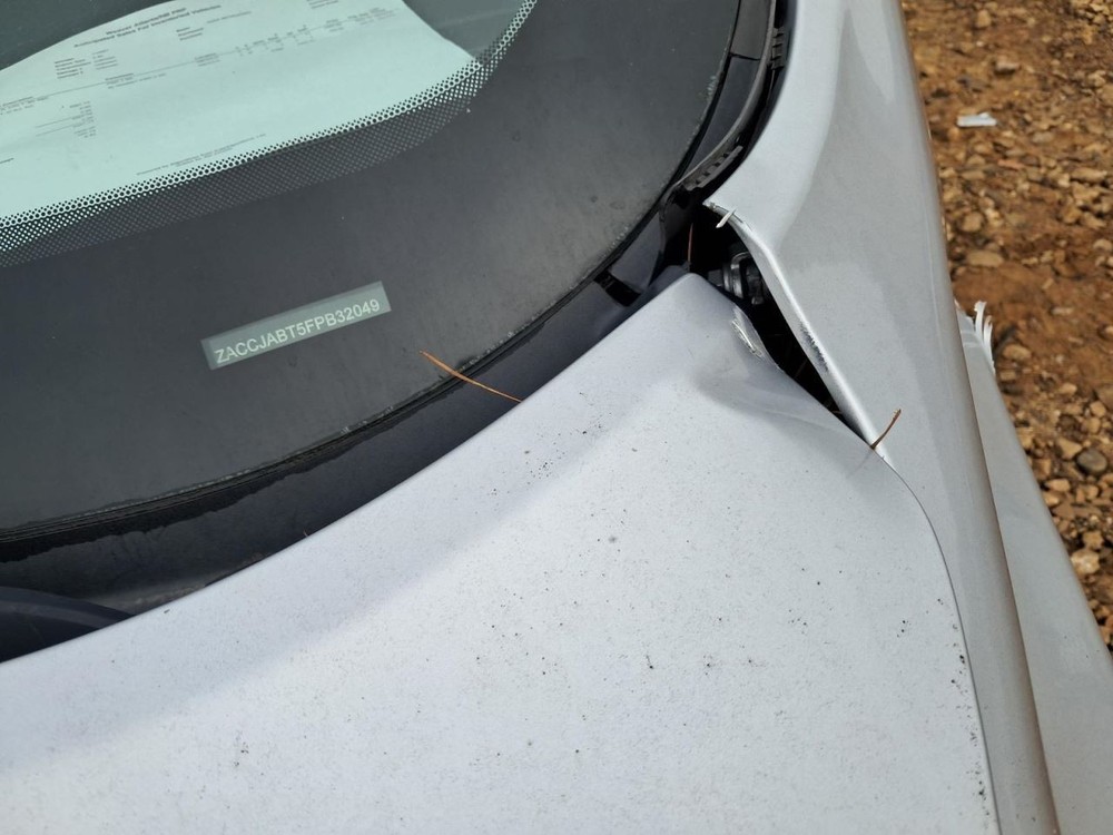 RENEGADE 2015 Glove Box 4802012