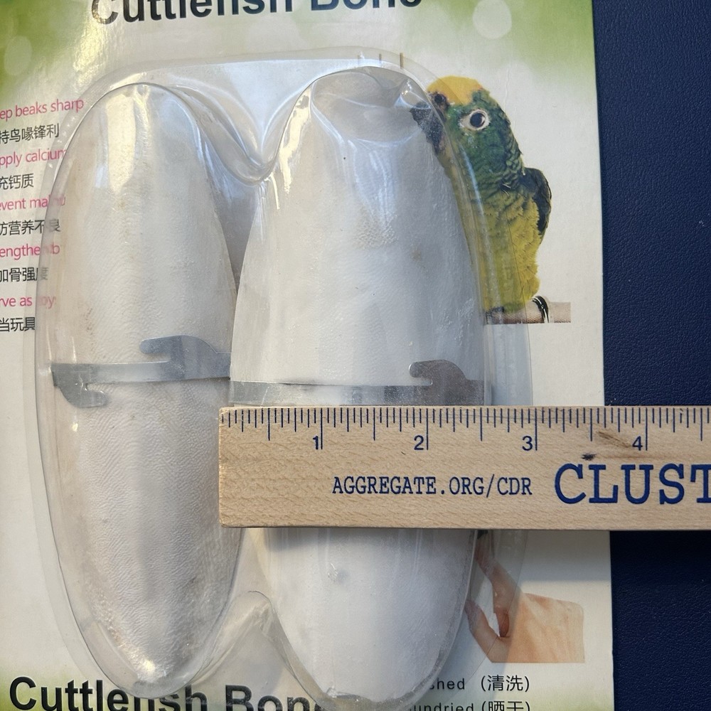 Cuttlefish Bone Bird Cuttlefish Bone