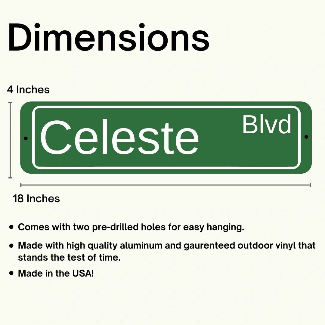 Custom Personalized Aluminum Street Sign Outdoor Indoor Great Gift for Everyone