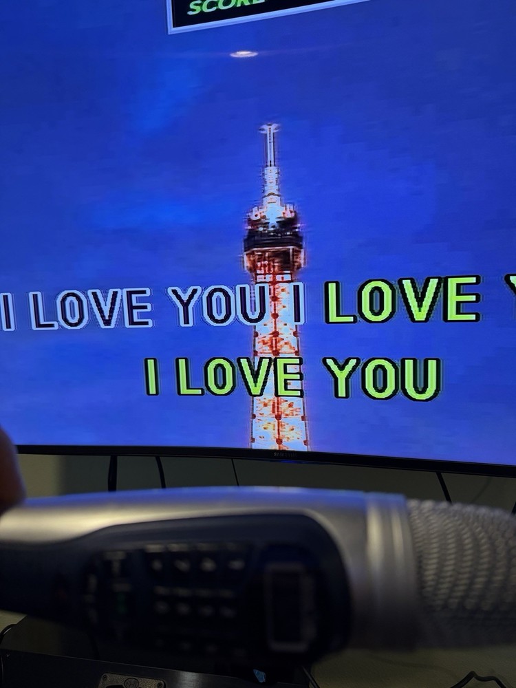 Magic Sing ET13K Wired Karaoke Microphone With Case