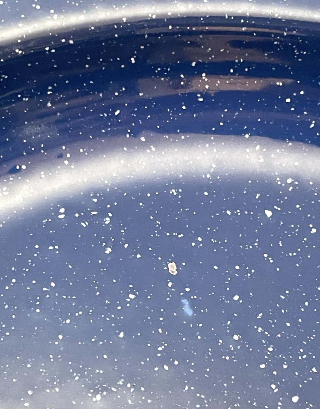 Blue Speckled Enamelware Deep Plate Dish 10.75" D Camping Picnic Retro Classic