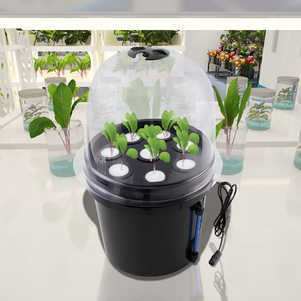 Hydroponics Grower Kit Hydroponic SystemSelf Watering Indoor Hydroponics Tools