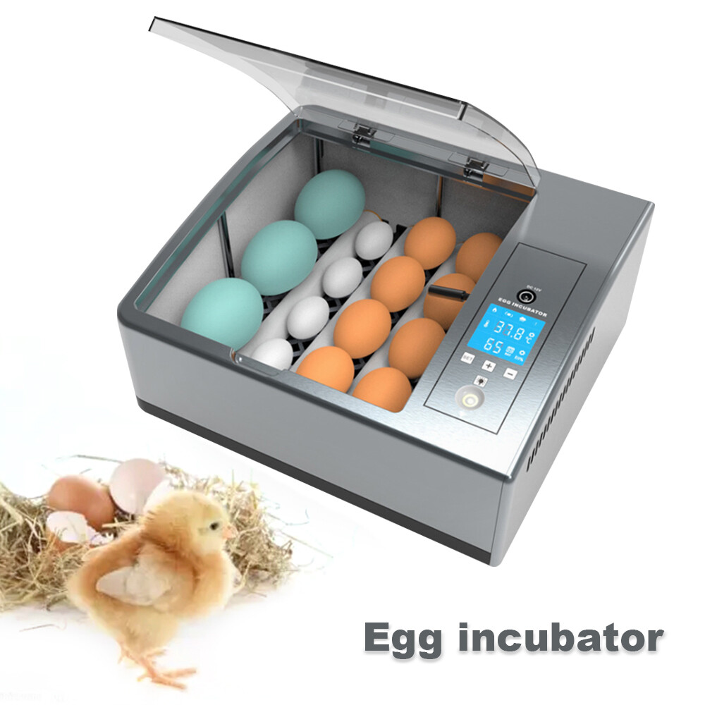 16 Eggs Egg Incubator for Hatching Egg Full Automatic Turning Duck Chicken Egg