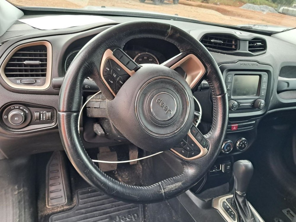 RENEGADE 2015 Glove Box 4802012
