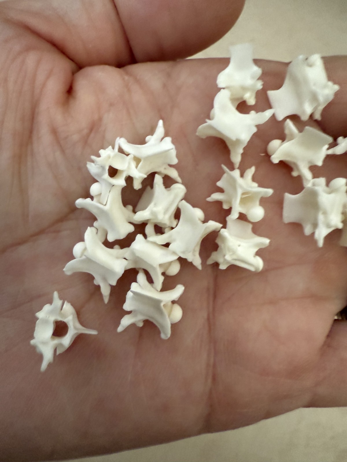 Rattlesnake Vertebrae 20pc Lot Mixed Size Snake Skeleton Taxidermy Bone