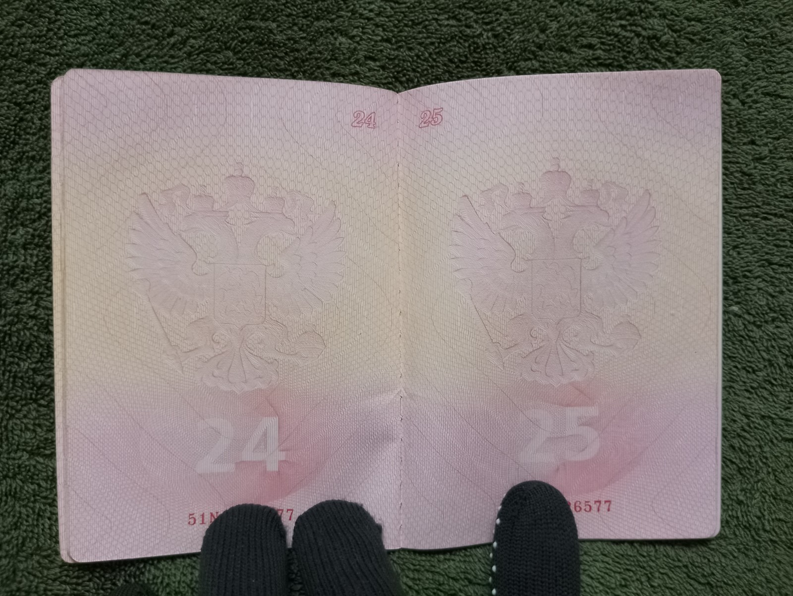 Two foreign travel passports belonging to a female Russian citizen.