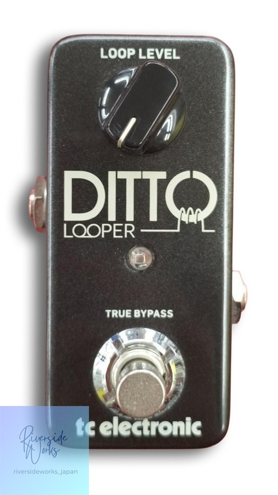 TC ELECTRONIC DITTO LOOPER Looping Effect Pedal JP