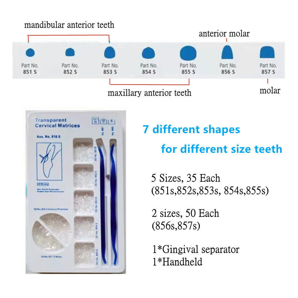 Dental Anatomically Shaped Transparent Cervical Matrices Gingival Retractor