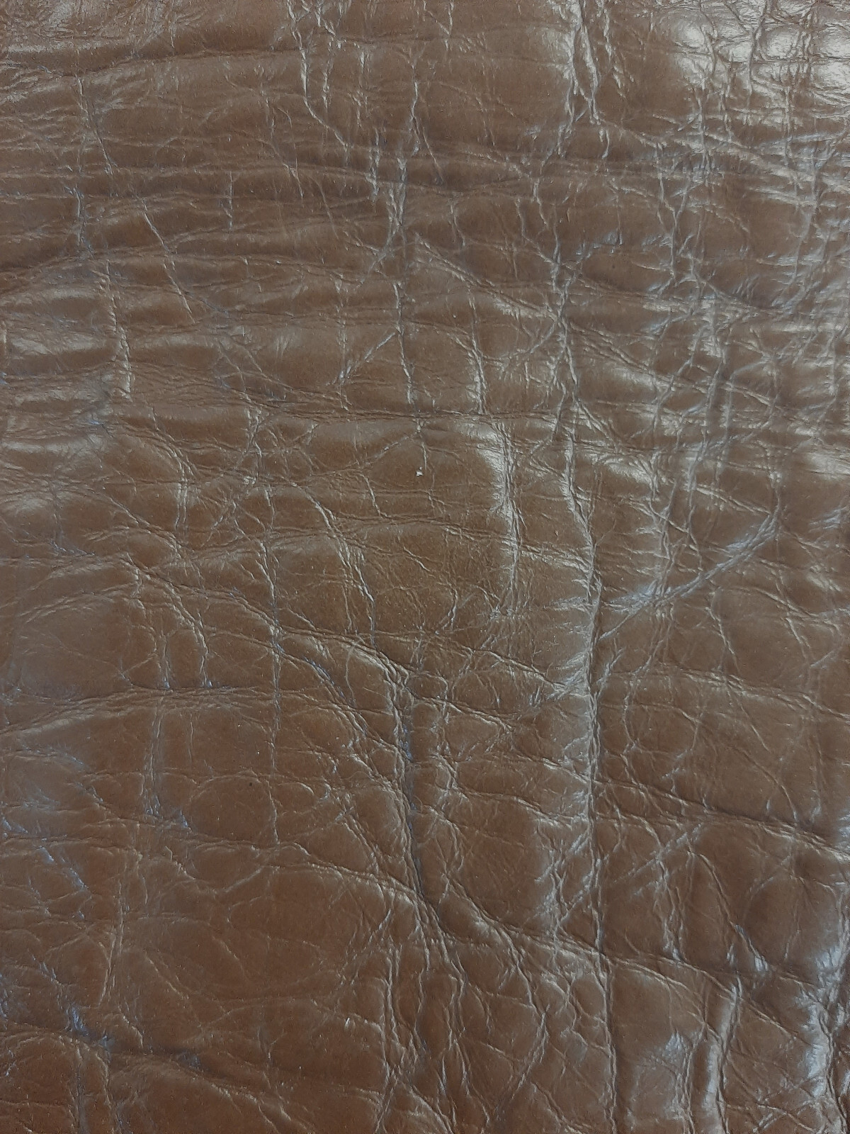 Karakul (Broad Tail Sheep) Hide, Brown, Very Unique