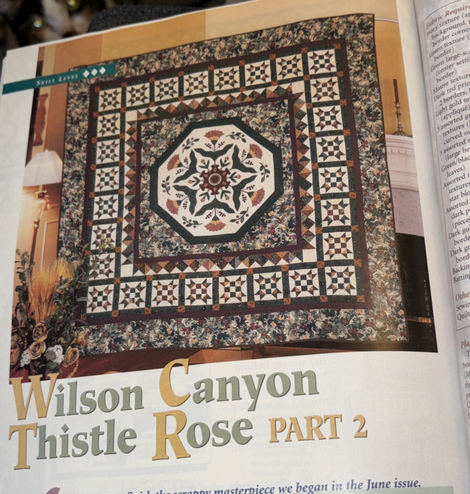 Rare McCall's QUILTING Quilt Pattern August 2003 Bk