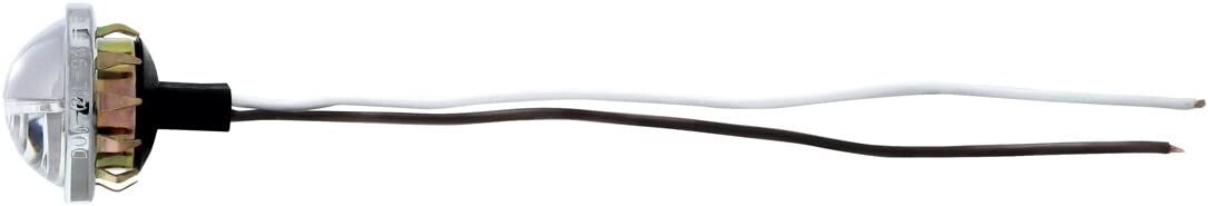 Universal 4 LED License Plate Light 1-1/2" Round for Hot Rods, Trucks, Cars, RV