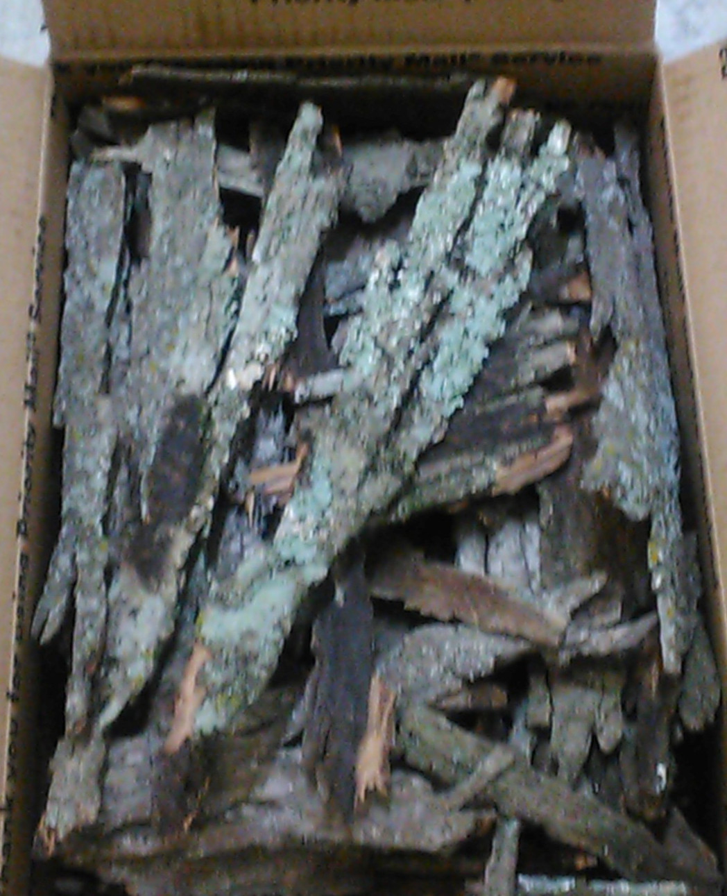 Hickory Bark For Smoking & Grilling