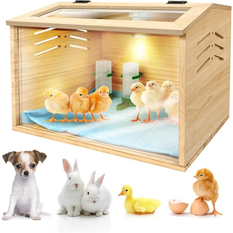 Chick Brooder Box Kit W/ Heating Lamp Feeder Thermometer Small Animals New