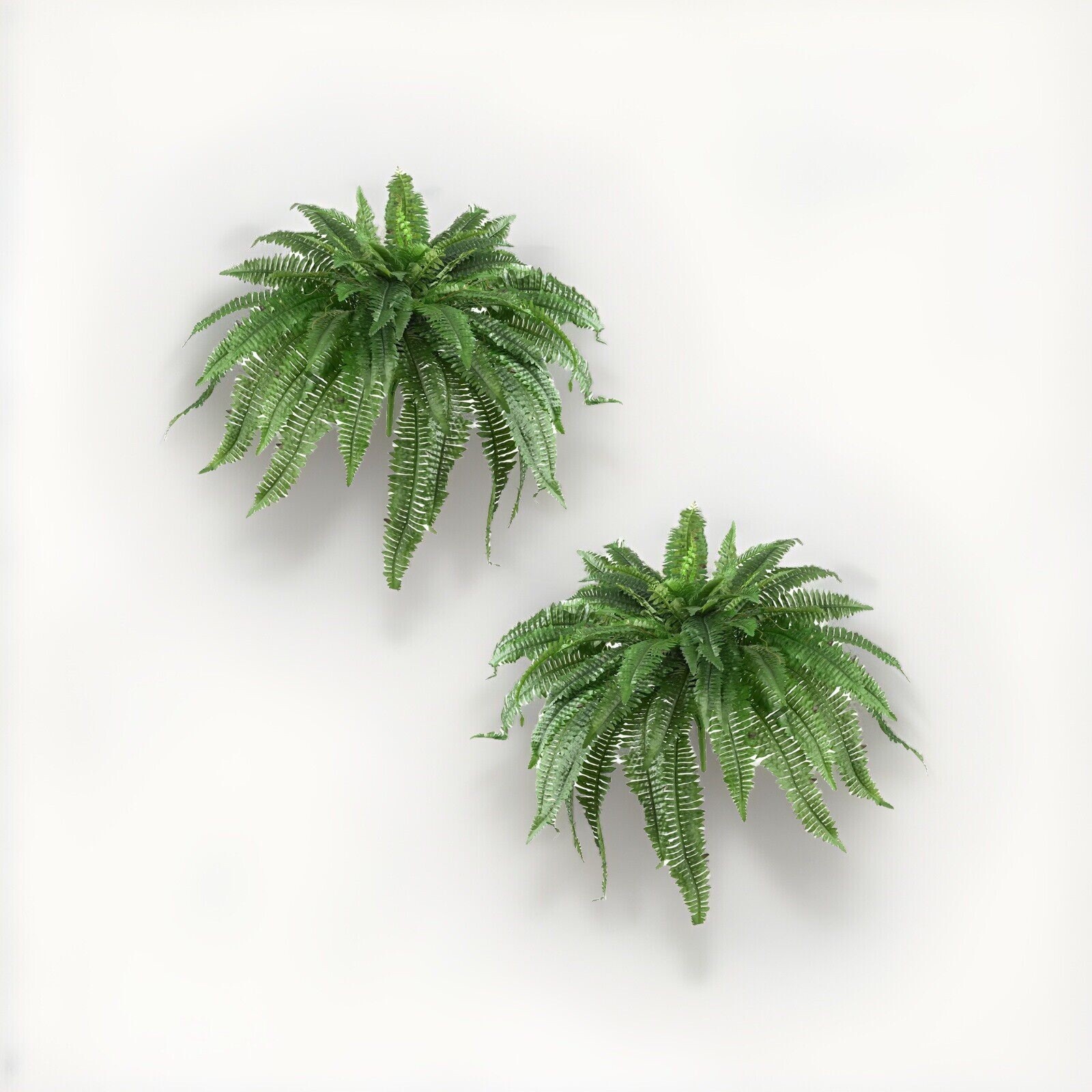 48" Boston Fern Artificial Bush Plant Pack 2. Retail $103