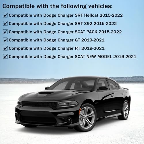 Front Bumper Lip Splitter Protector Compatible with Dodge Charger Pink