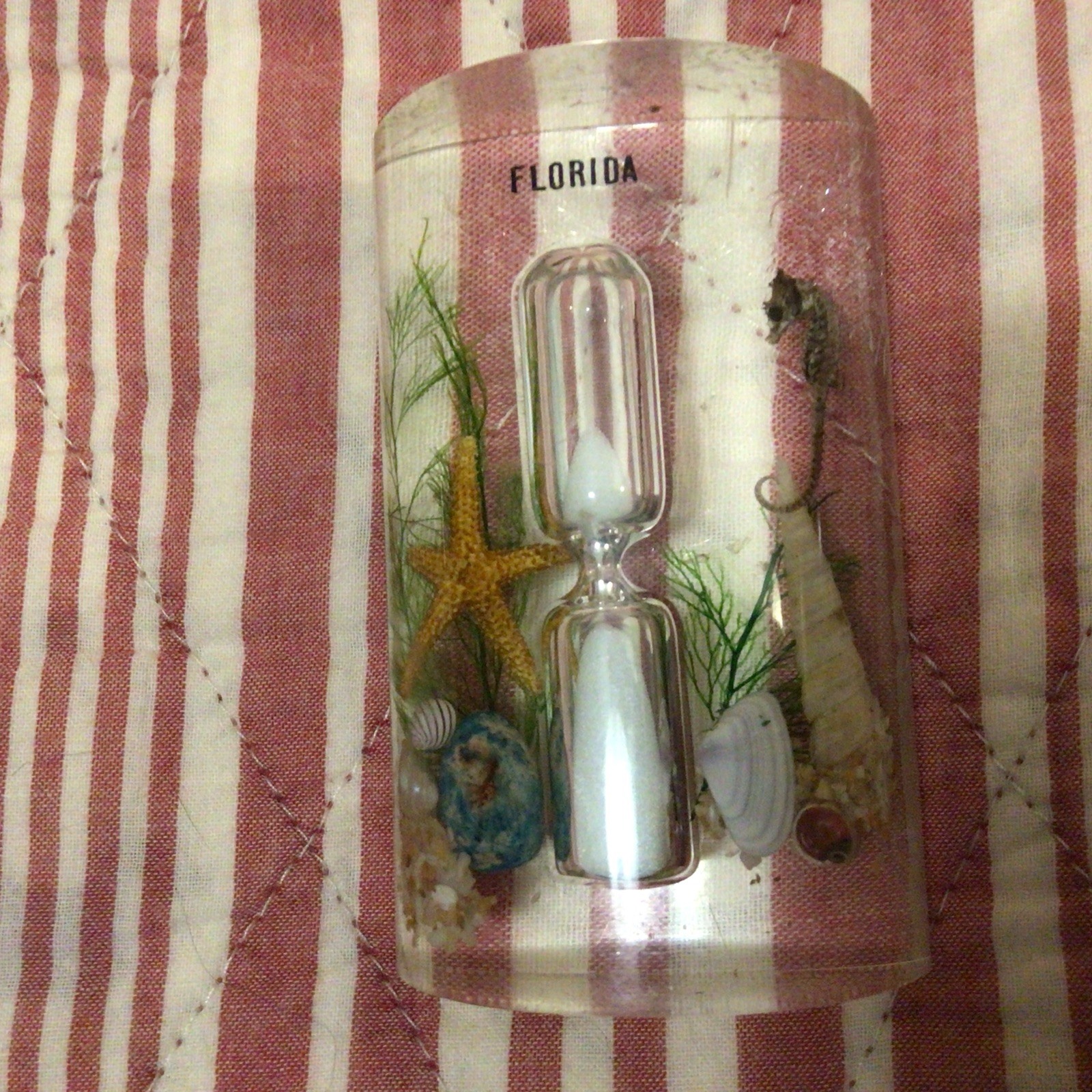 Vintage Florida Decorative Clear Acrylic/Lucite Handled Souvenirs