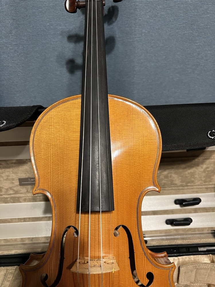 Professional 4/4 Violin E, D. Brvino SV-1 With Case