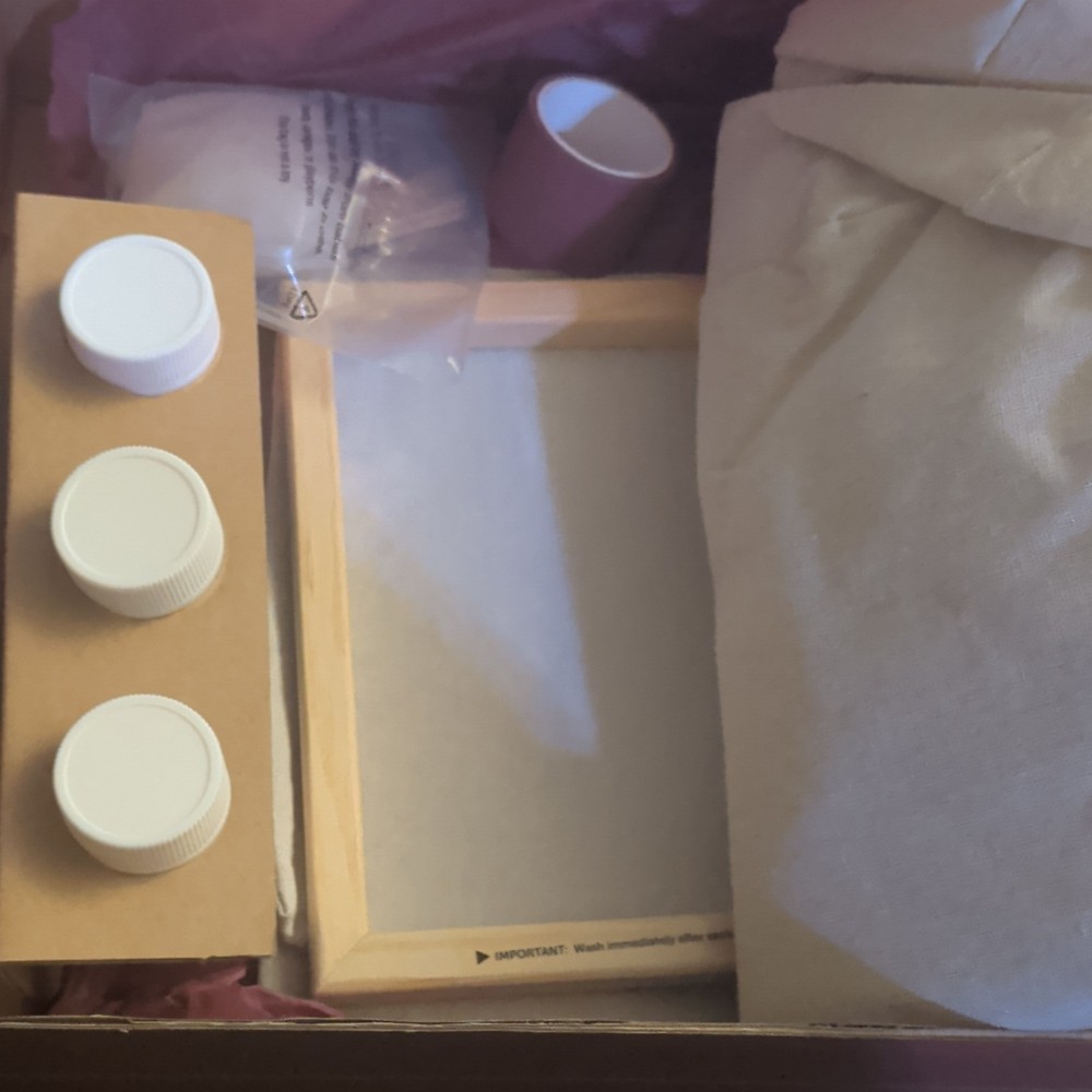 Maker Crate Screen-Printed Canvas Bins Kit with Paints, Screen & Guide