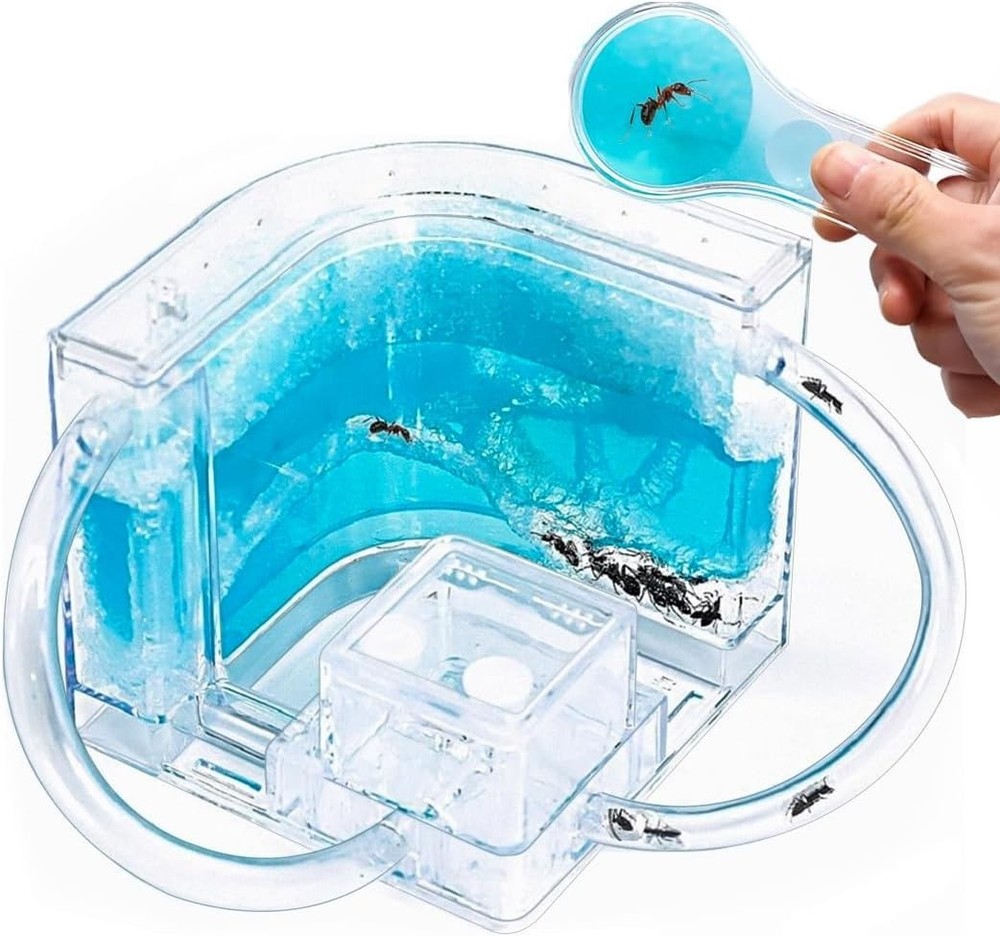 Ant Farm Castle 2.0 Science Kit - Explore Insect Behavior Safely