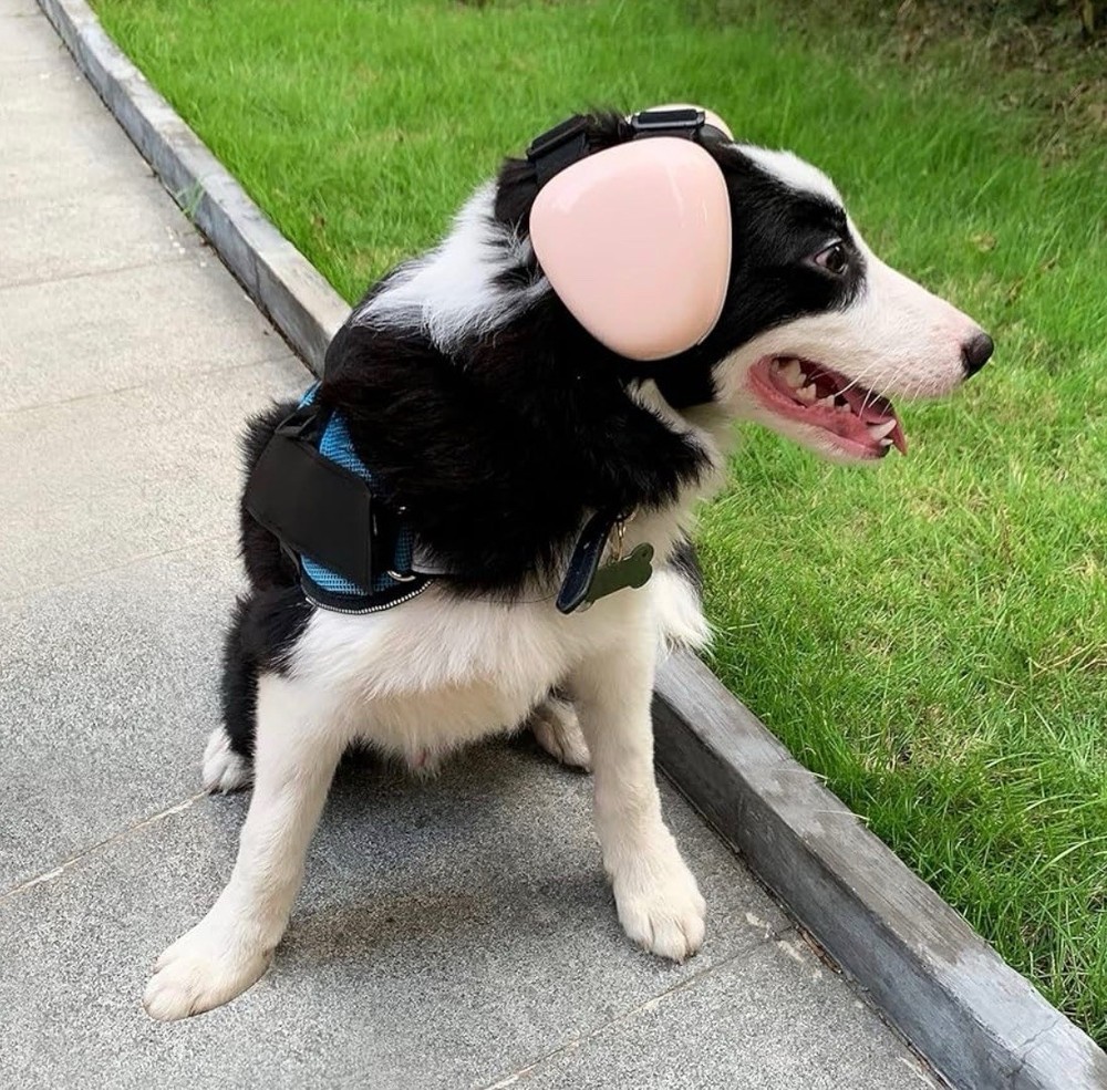 derYEP Dog Hearing Protector Earmuffs DHP03 Small Orange 29dB NRR