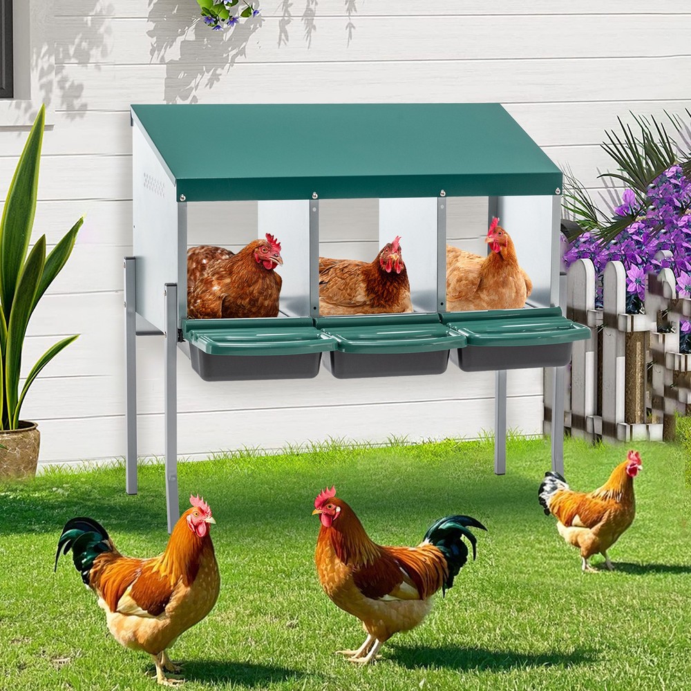 Elevated 3-Hole Chicken Nesting Box with Leg & Lid Cover – Cozy Egg Layer Space