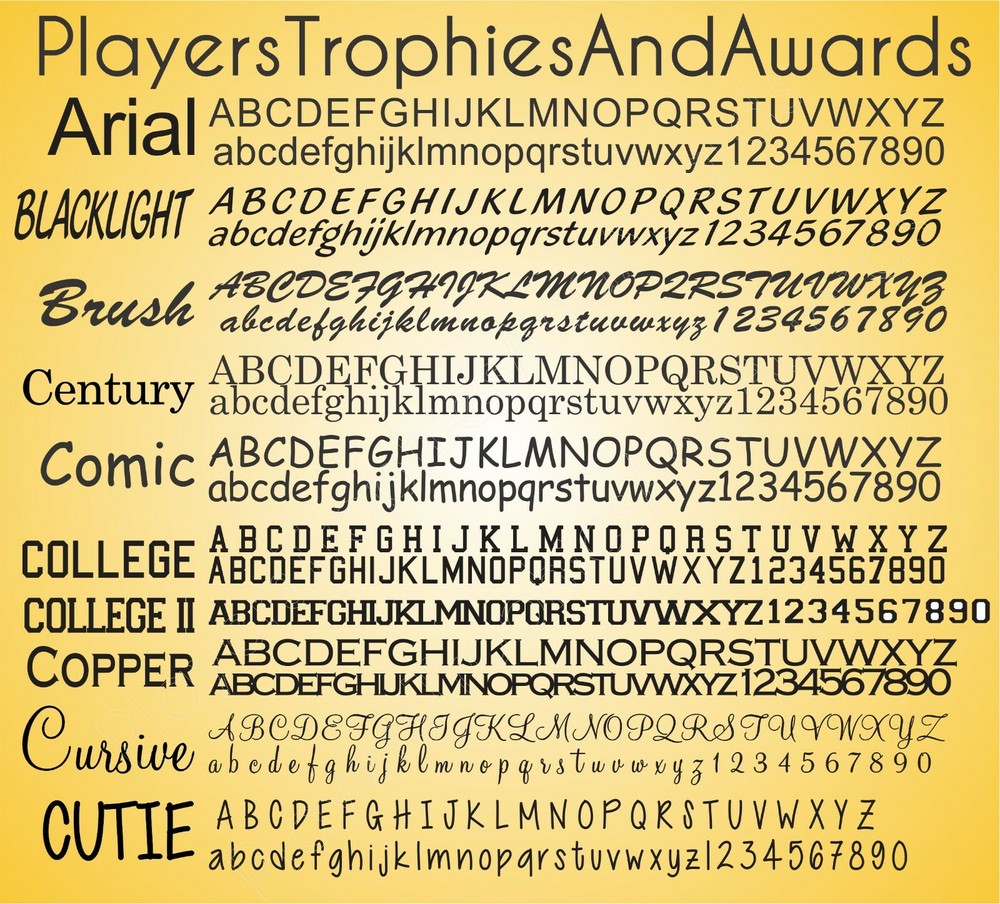 Name Plate 2.5 x 2.5 THIN PLASTIC Custom Engraved Trophy Name Tag Proof Incl