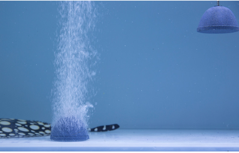 60MM Air Stone Bubble Disk Aerator Aquarium Fish Tank Pump Hydroponic Oxygen