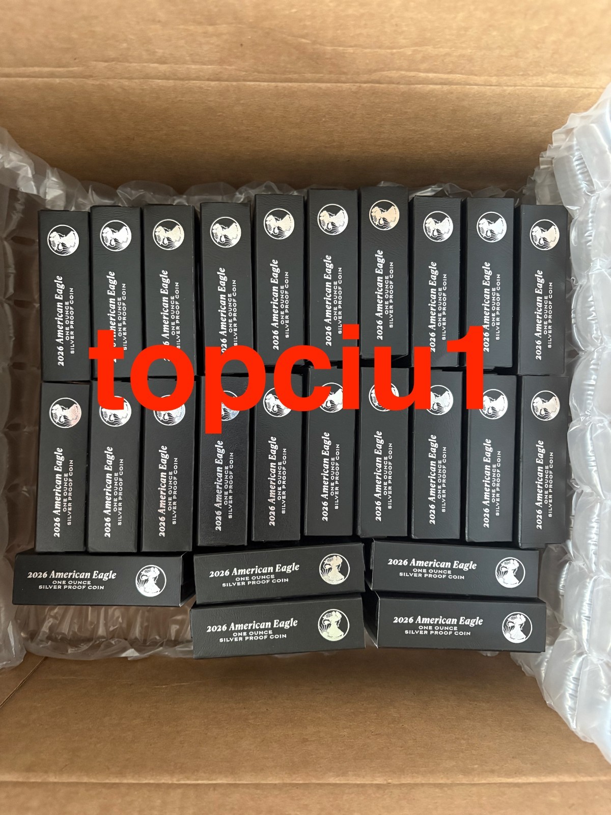 1776-2026 W PROOF AMERICAN SILVER EAGLE in OGP  26EA 250th LIBERTY PRIVY