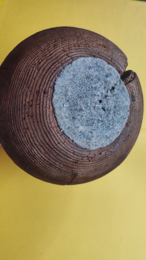 turned wood vase