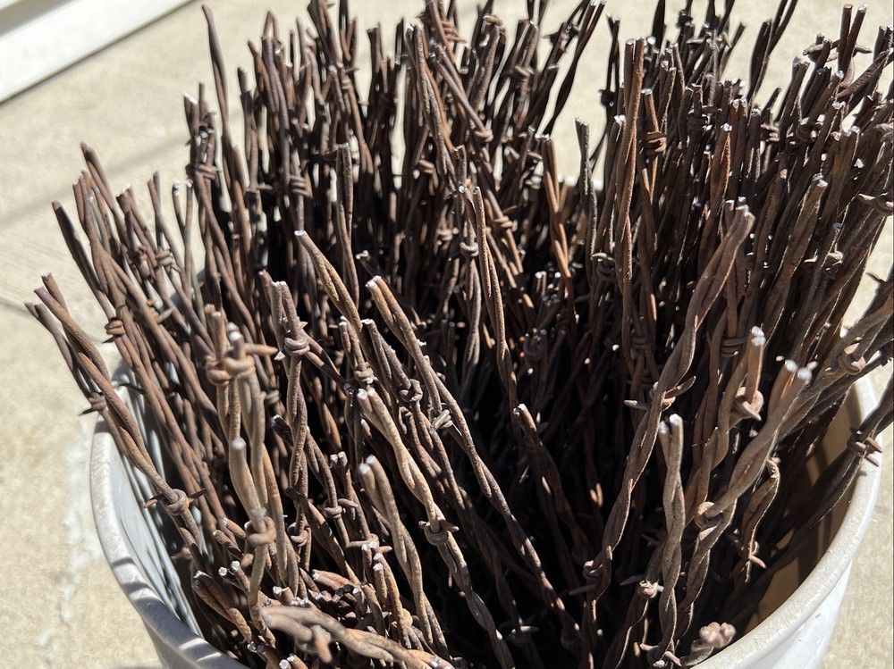 Rusty Barb Wire 18 Inch strands. Sharp old rustic look. Crafting Decor. 10 Count