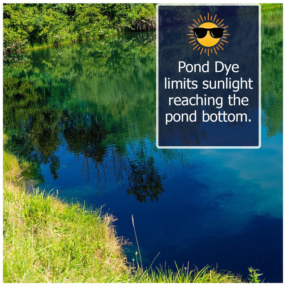 Reflective Black Pond Dye Packets- 80 water soluble packets
