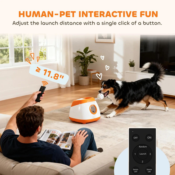 Automatic Dog Ball Launcher