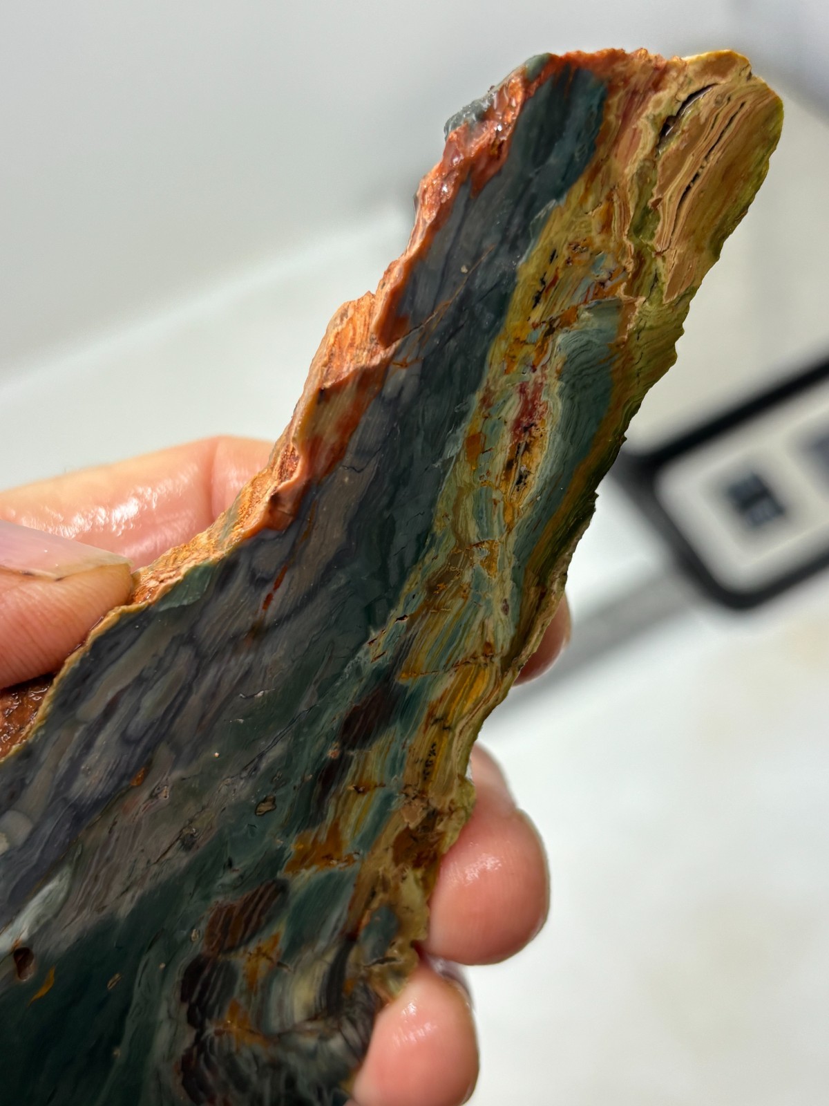 Gary Green Caldera Freedom Jasper Slab Cabbing Lapidary Combo Ship Avail