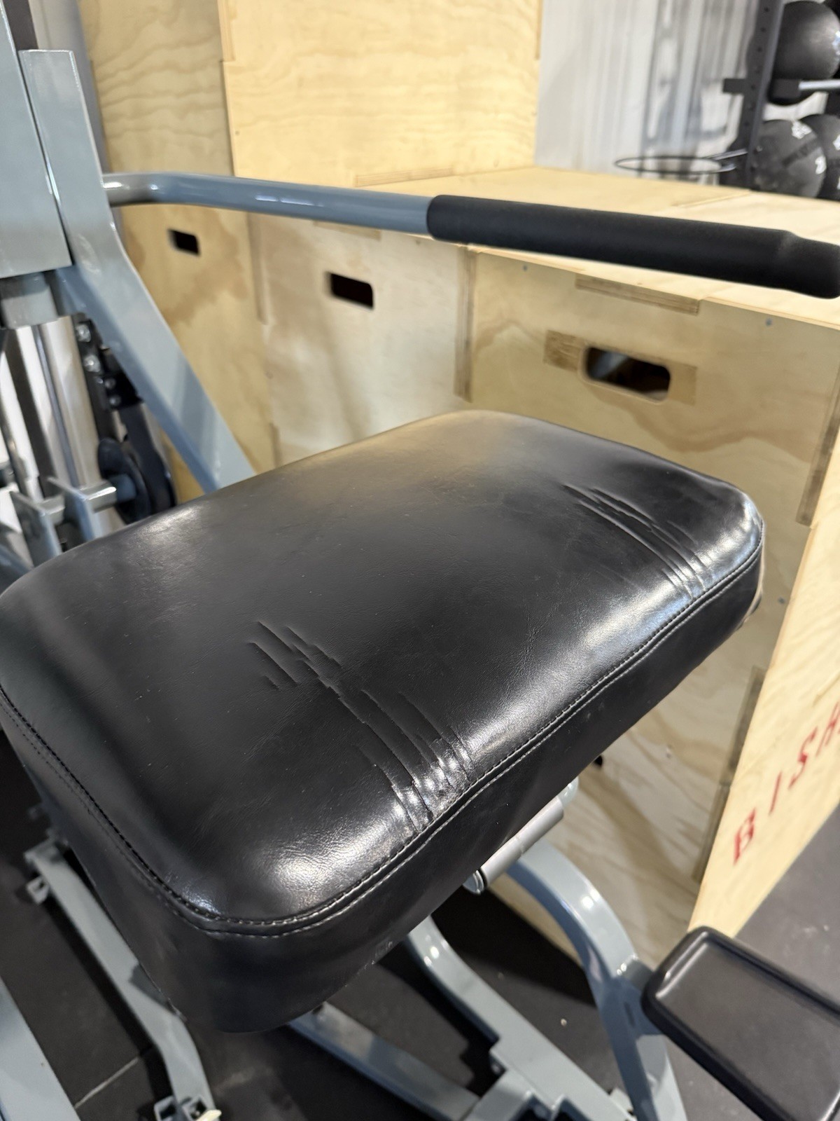 Used Nautilus Nitro Chin Dip (Free shipping)